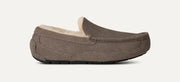 Homme Chausson Ascot - GREY