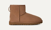Homme Botte Classic Mini - CHESTNUT