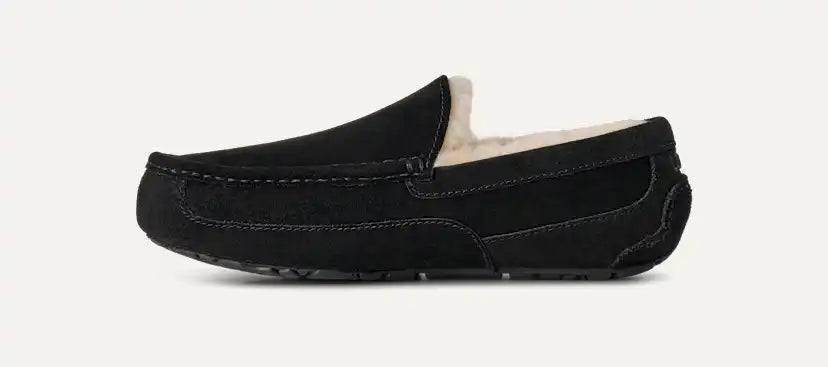 Homme Chausson Ascot - BLACK