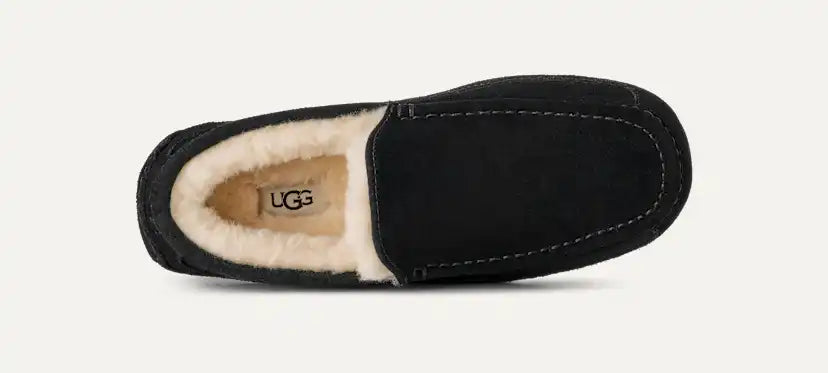 Homme Chausson Ascot - BLACK
