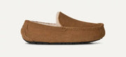Homme Chausson Ascot - CHESTNUT