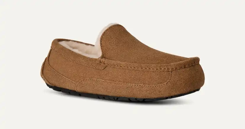 Homme Chausson Ascot - CHESTNUT