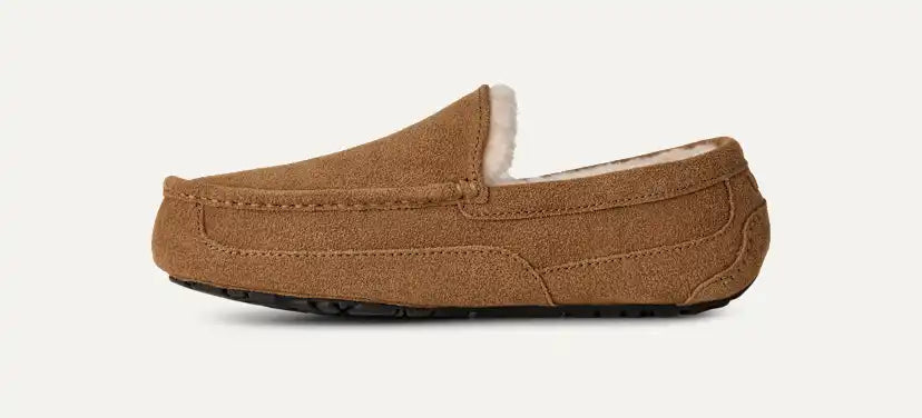 Homme Chausson Ascot - CHESTNUT