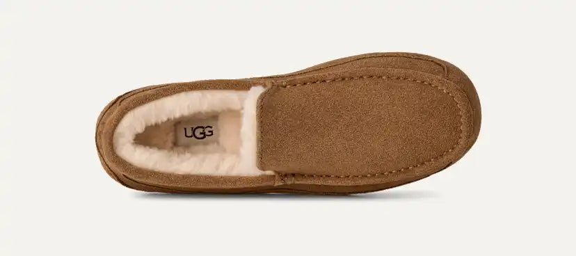 Homme Chausson Ascot - CHESTNUT