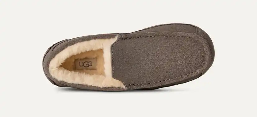 Homme Chausson Ascot - GREY