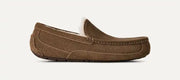 Homme Chausson Ascot - LIGHT BRONZE