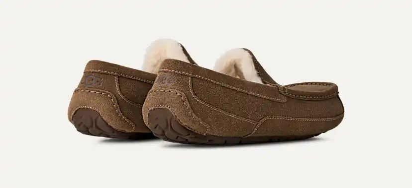 Homme Chausson Ascot - LIGHT BRONZE