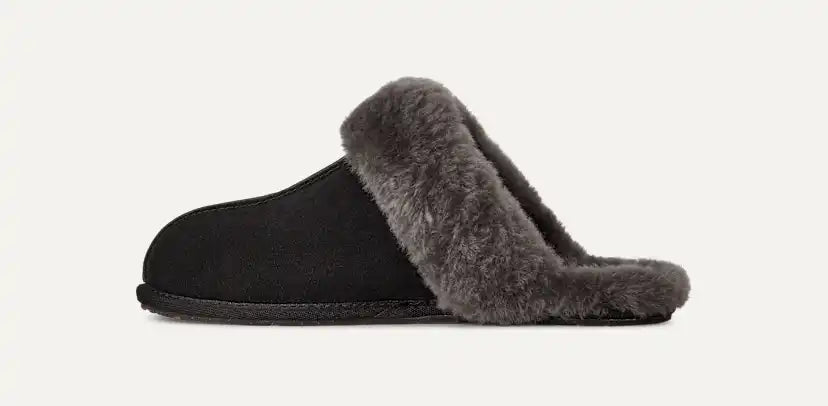 Femme Chausson Scuffette II - BCGR