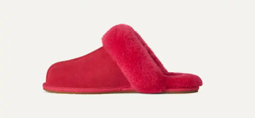 Femme Chausson Scuffette II - RBNR