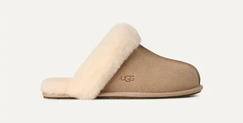 Femme Chausson Scuffette II - SAN