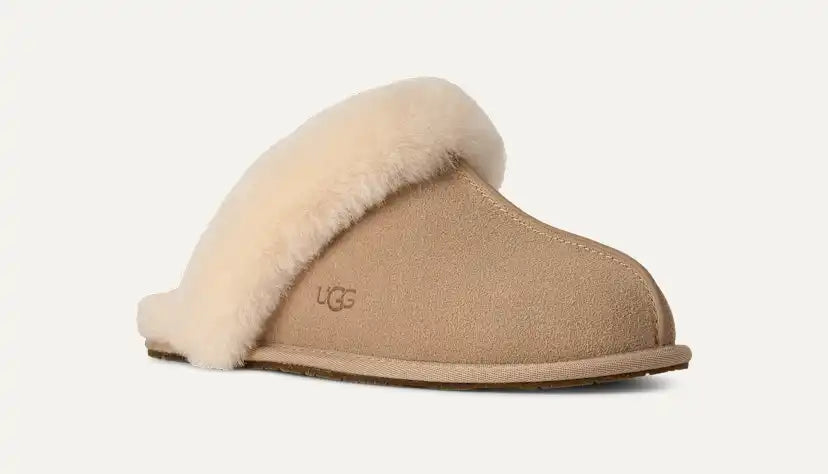 Femme Chausson Scuffette II - SAN