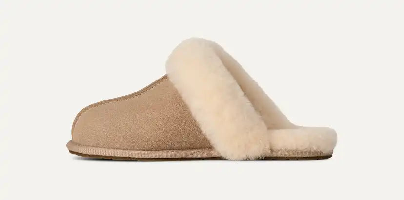 Femme Chausson Scuffette II - SAN