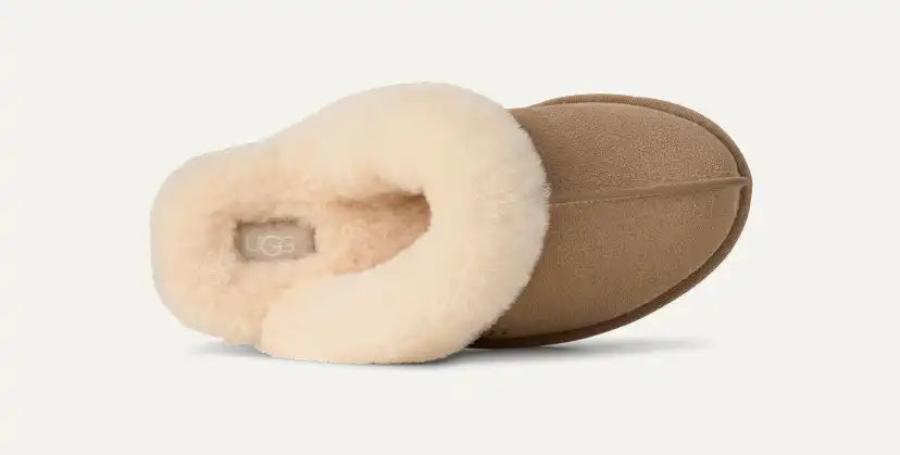 Femme Chausson Scuffette II - SAN