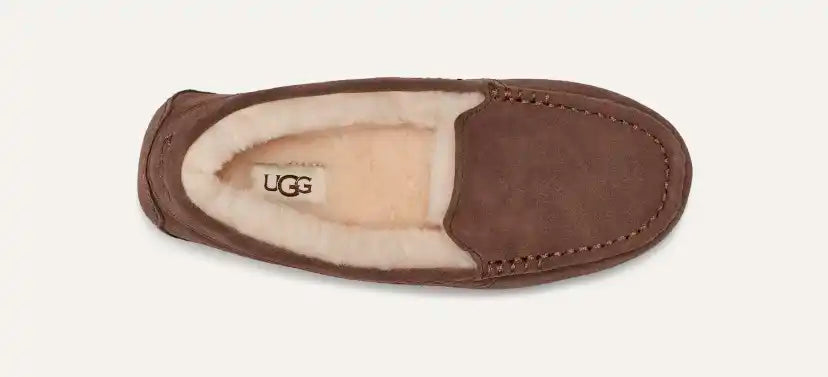 Femme Chausson Ansley - ESPRESSO