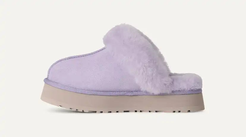 Femme Chausson Disquette - WLLC