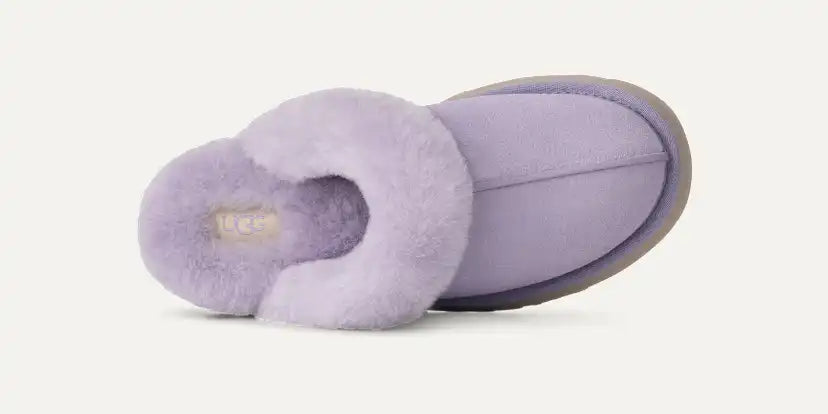 Femme Chausson Disquette - WLLC