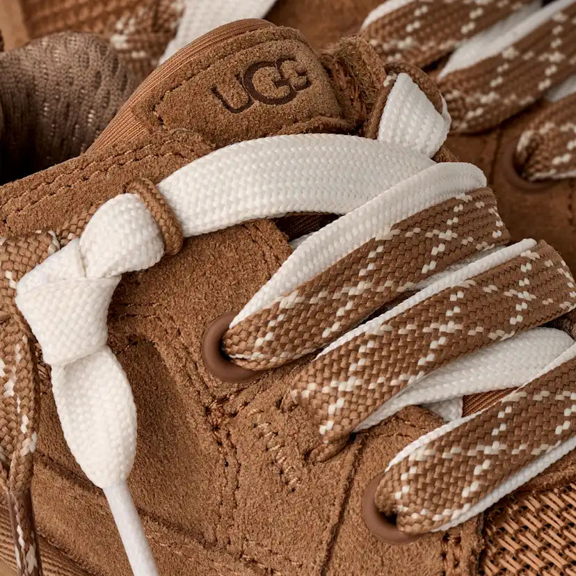 Tout Petit Lo Lowmel Trainer