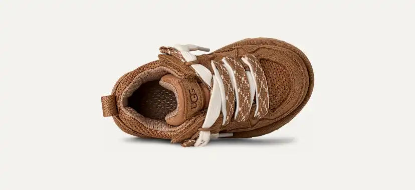 Tout Petit Lo Lowmel Trainer