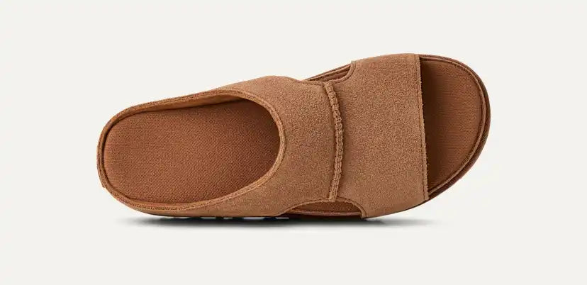 Femme Mule Goldenstar Hi à découpes