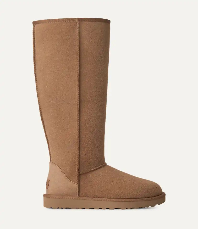 Femme Botte Classic Ultra Tall - CHESTNUT