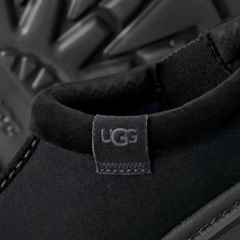 Homme Tasman Lug