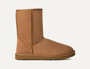 Homme Botte Classic Short - Chestnut