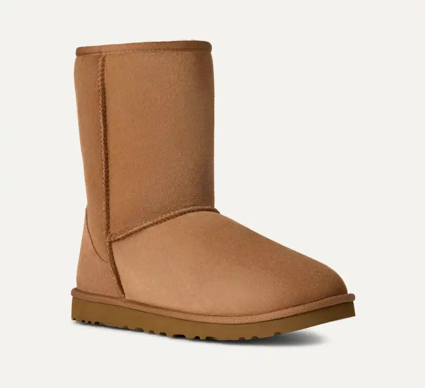 Homme Botte Classic Short - Chestnut